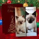 Search for siamese christmas cards Xmas