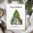 Search for persian cat christmas cards Pet