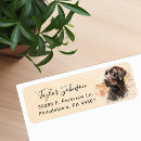 Search for chocolate labrador return address labels Animal lover