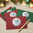 Search for white owl stickers Nature photography