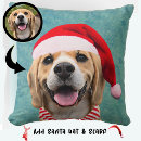 Search for pet photo cushions Fun