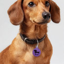 Search for dachshund dog tags Doxie