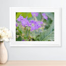 Search for purple and light posters Cottagecore