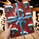 Search for cat dog christmas wrapping paper Create your own