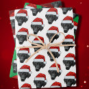 Search for funny dog wrapping paper Modern