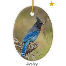 Search for blue jay bird christmas tree decorations Wildlife