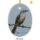 Search for birdwatcher christmas tree decorations Nature