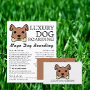 Search for pet sitter flyers Dogs