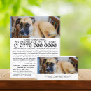Search for pet sitter flyers Cats