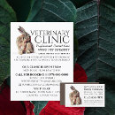 Search for vets flyers Veterinarian