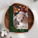 Search for santa paws christmas cards Green
