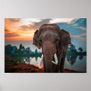 Search for blue elephant posters Wildlife