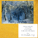 Search for scenic christmas cards Vintage