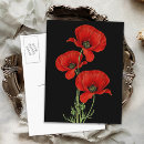 Search for red poppies postcards Illustration