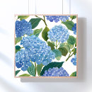 Search for blue hydrangea posters Flower