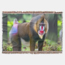 Search for monkey blankets Nature