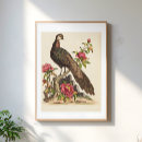 Search for vintage peacock posters Bird