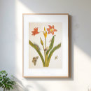 Search for vintage botanical illustration posters Pretty