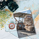 Search for cool cat cards Humour