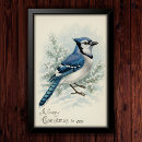 Search for bluejays posters Bird