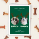 Search for pet christmas cards Green