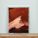 Search for antelope Nature photography