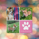 Search for pup christmas tree decorations Cute