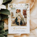 Search for calligraphy photocards Elegant