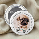 Search for cool cat badges Pet