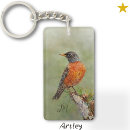 Search for red robin key rings Wildlife