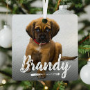 Search for letters christmas tree decorations Create your own