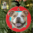 Search for pitbull christmas tree decorations Puppy