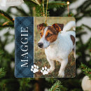 Search for horse christmas decor Dog