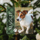 Search for horses christmas tree decorations Dog