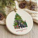 Search for american staffordshire terrier christmas tree decorations Dog lover