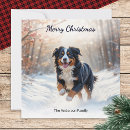 Search for bernese mountain dog christmas cards Watercolor
