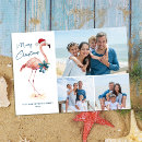 Search for pink flamingo christmas cards Coastal