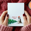 Search for bernese mountain dog christmas cards Xmas