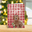 Search for labradoodle christmas cards Dog