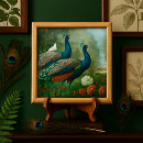 Search for blue peacock tiles Beautiful