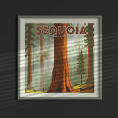 Search for sequoia posters Nature