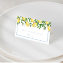 Search for watercolor place cards Citrus