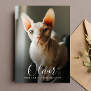 Search for with for the loss of your cat sympathy cards Death