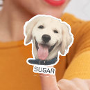 Search for best dog mom stickers For pets