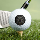 Search for screech Screech owl