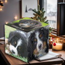 Search for pet photo cubes Photos