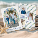 Search for seashell christmas cards Coastal