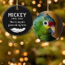 Search for bird pet memorials Forever in my heart