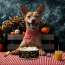 Search for halloween dog bowls Black