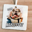 Search for cat lovers christmas tree decorations For cat lover